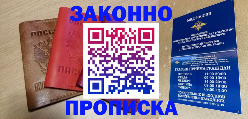 регистрация в Московской области